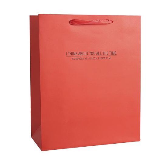 Dropshipping Outlet 簡約純色服裝袋紙袋禮品支持定制顏色可選